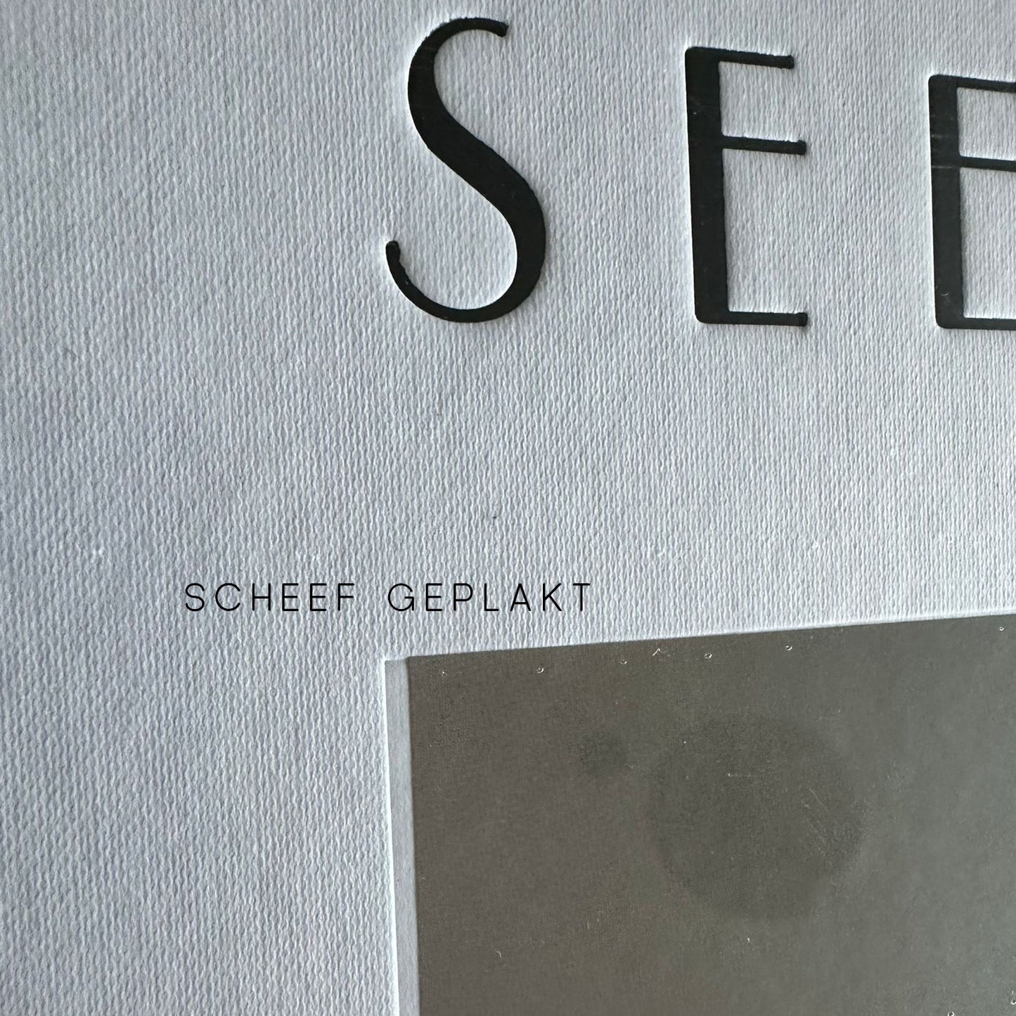 SEEVE OFFICIAL - KOFFIETAFELBOEK - SCHEEFGEPLAKTE FOTO